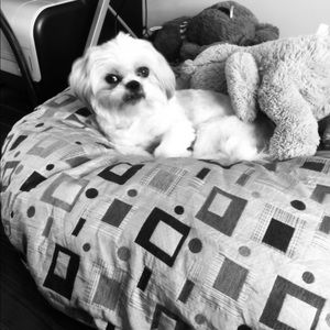 Meet your Posher, Maria